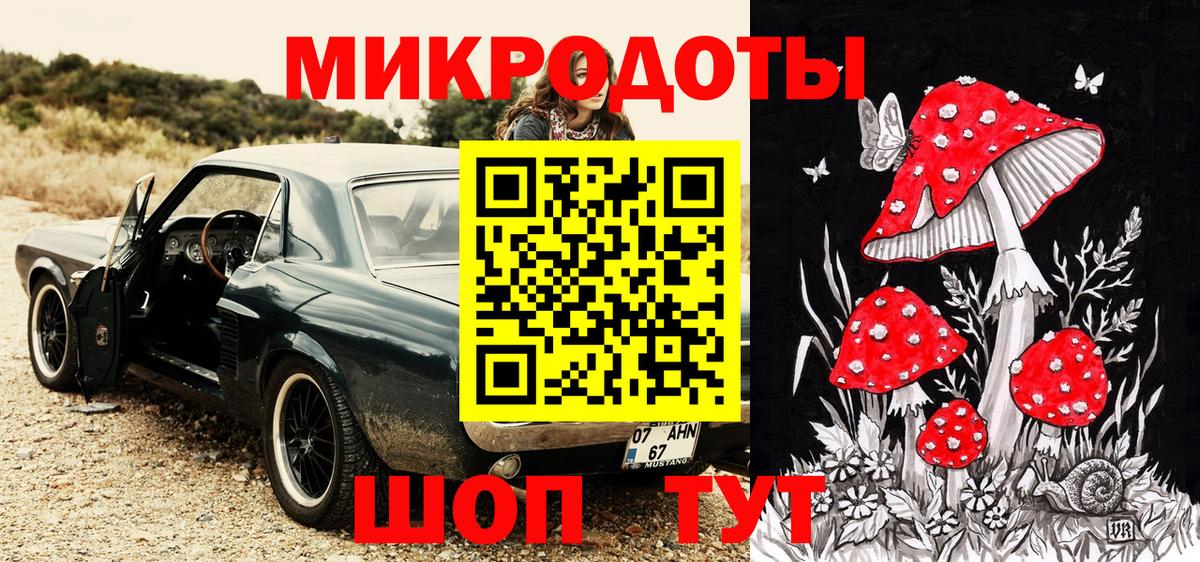 Галлюциногенные грибы Cubensis Буйнакск
